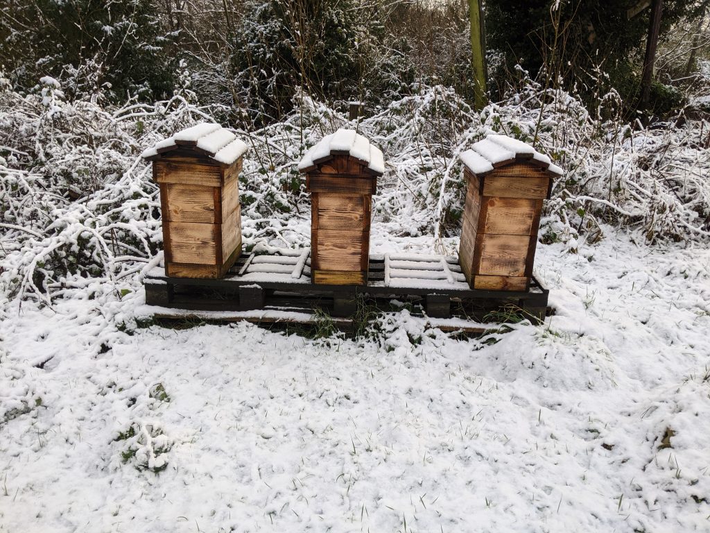 Overwintering nucs. The bees are very quiet inside. The upper box is full of stores.