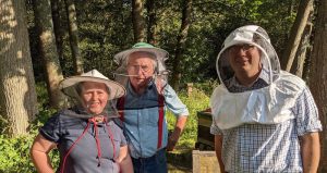 lets go beekeeping