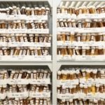 From Hive to Test Tube