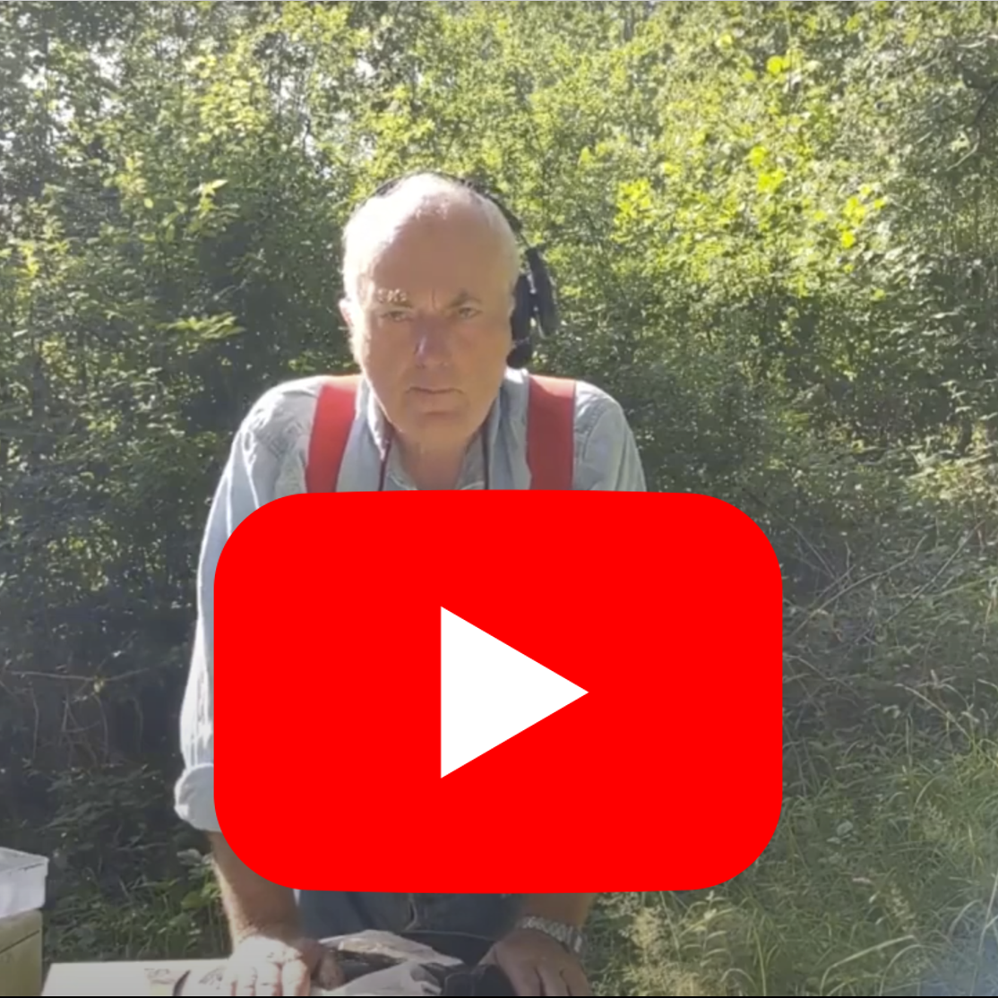 Roger YouTube