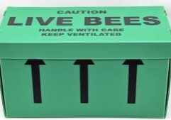 bees for sale